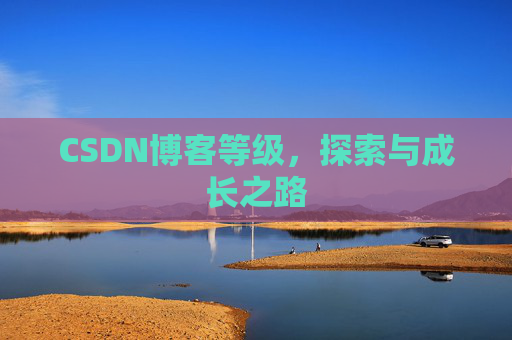 CSDN博客等级,探索与成长之路